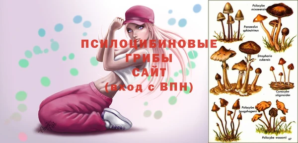 ALPHA PVP Волоколамск